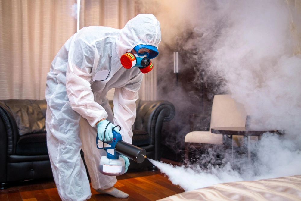 Schedule professional pest control service in Los Angeles with No Bugs in LA