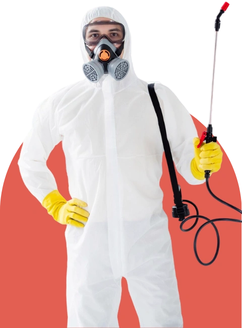 Experienced pest control expert wearing protective gear during treatment service in Los Angeles by No Bugs in LA