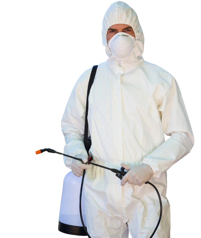 Reliable pest control technician offering guaranteed pest removal services in Los Angeles by No Bugs in LA
