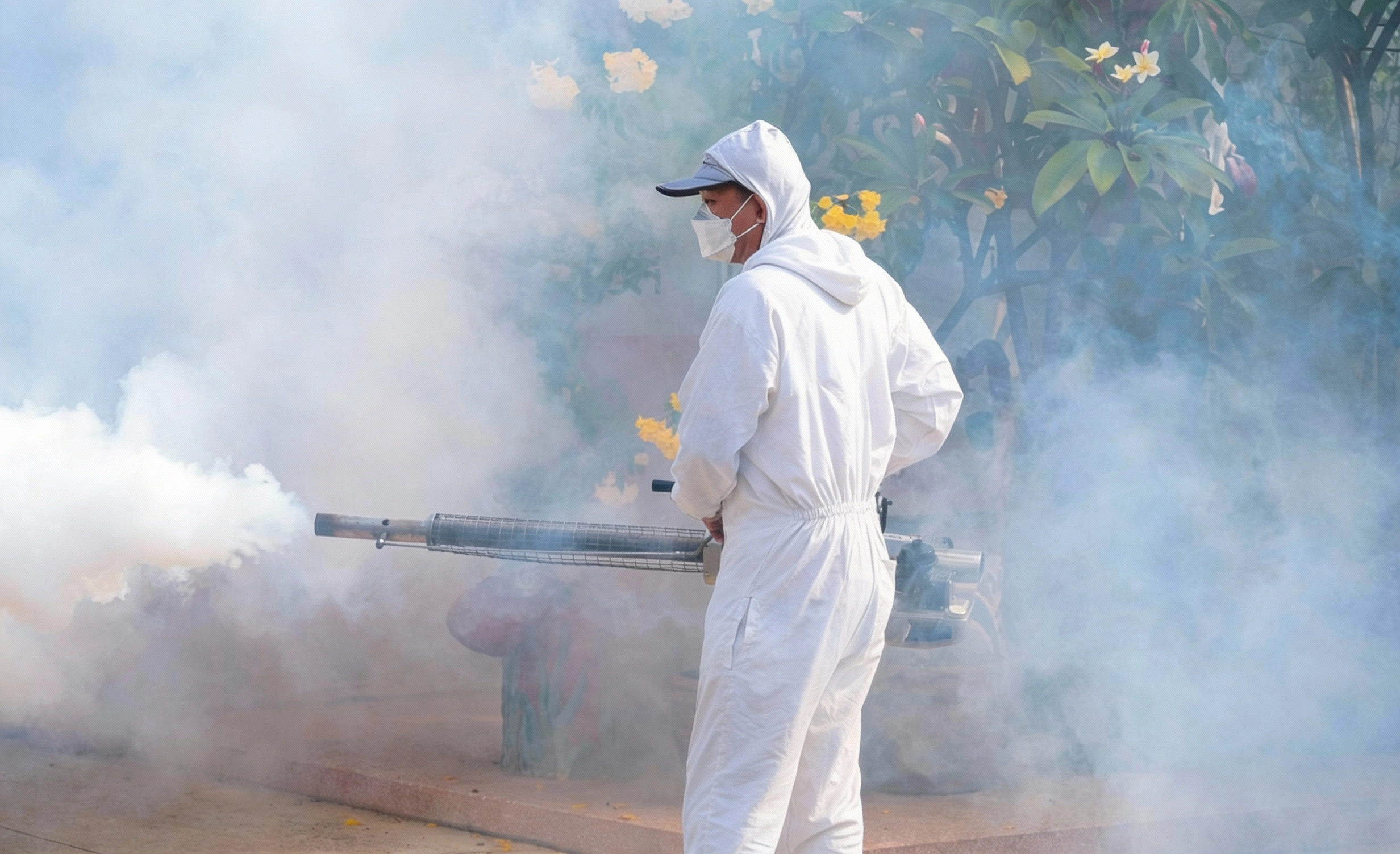 Mosquito and fly control fogging treatment in outdoor area in Los Angeles by No Bugs in LA