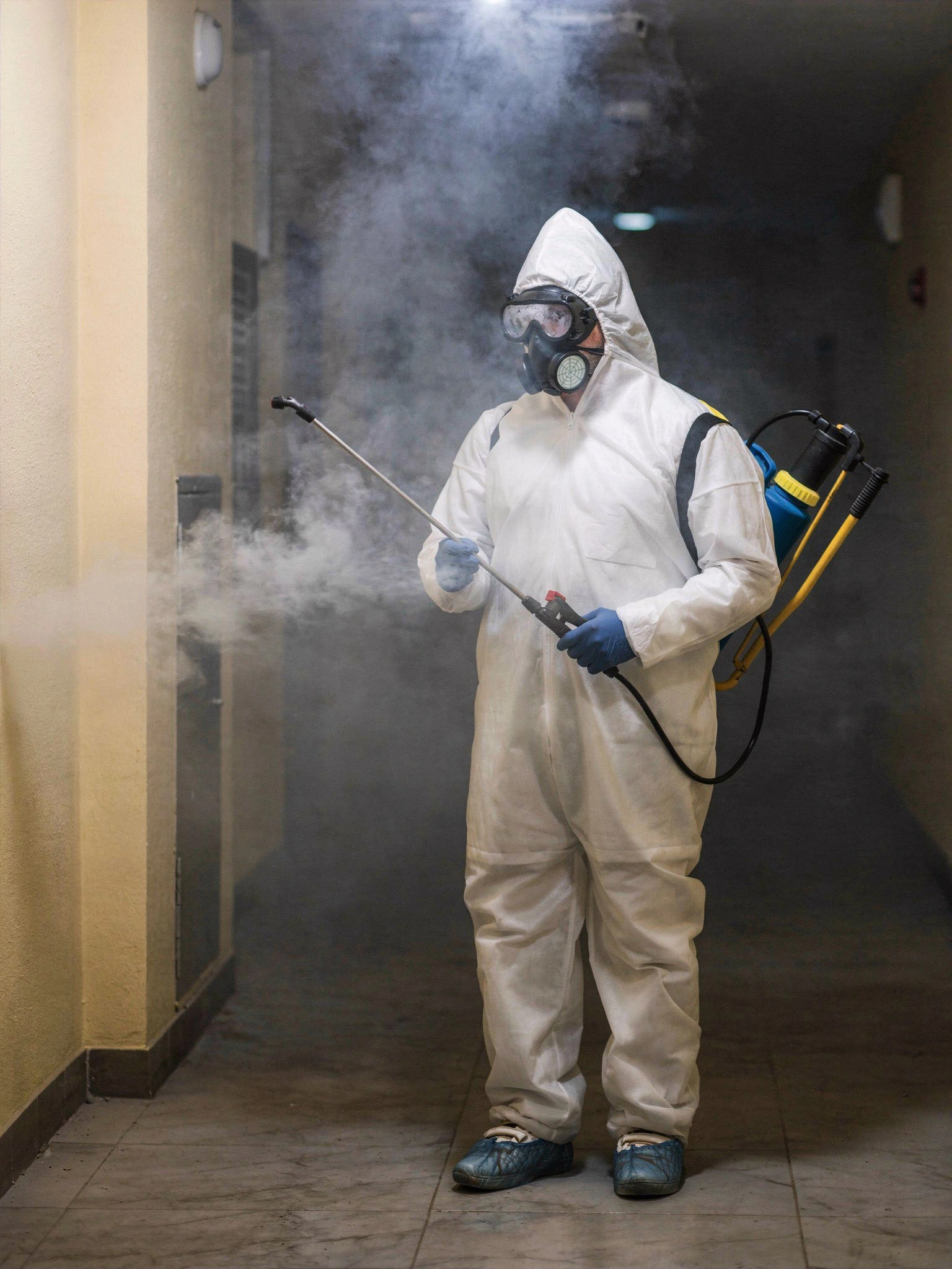 Request professional pest control services in Los Angeles with No Bugs in LA